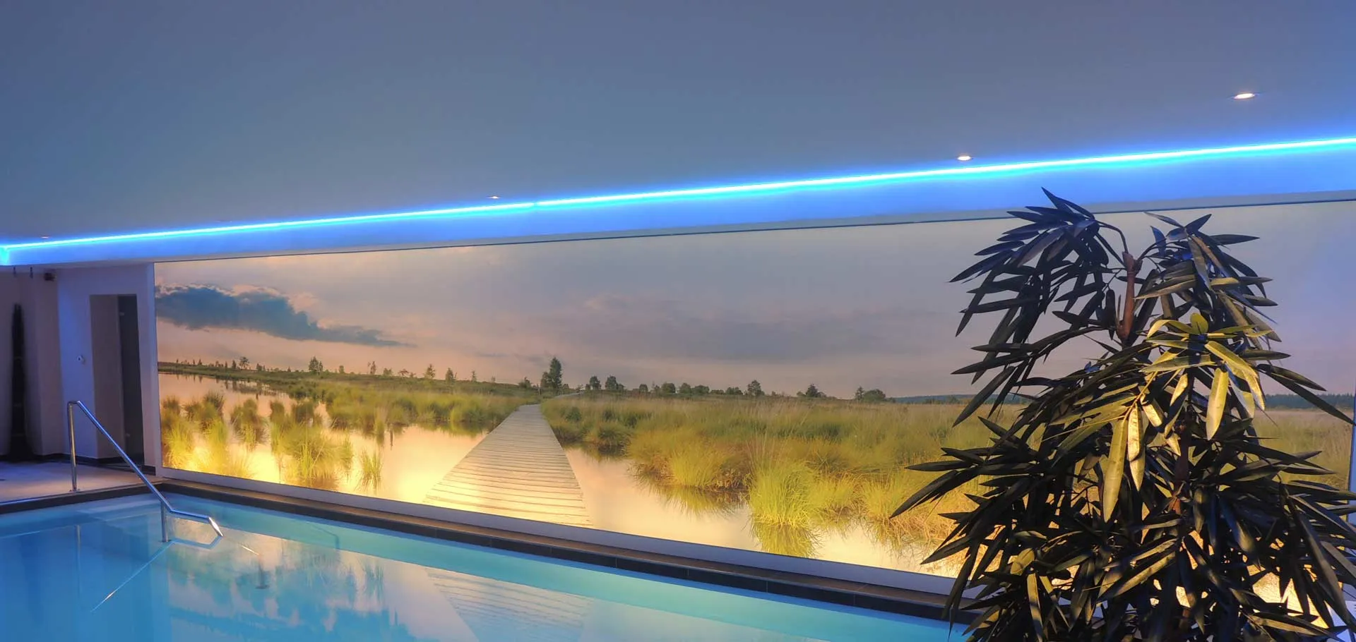 Wellness-Pool